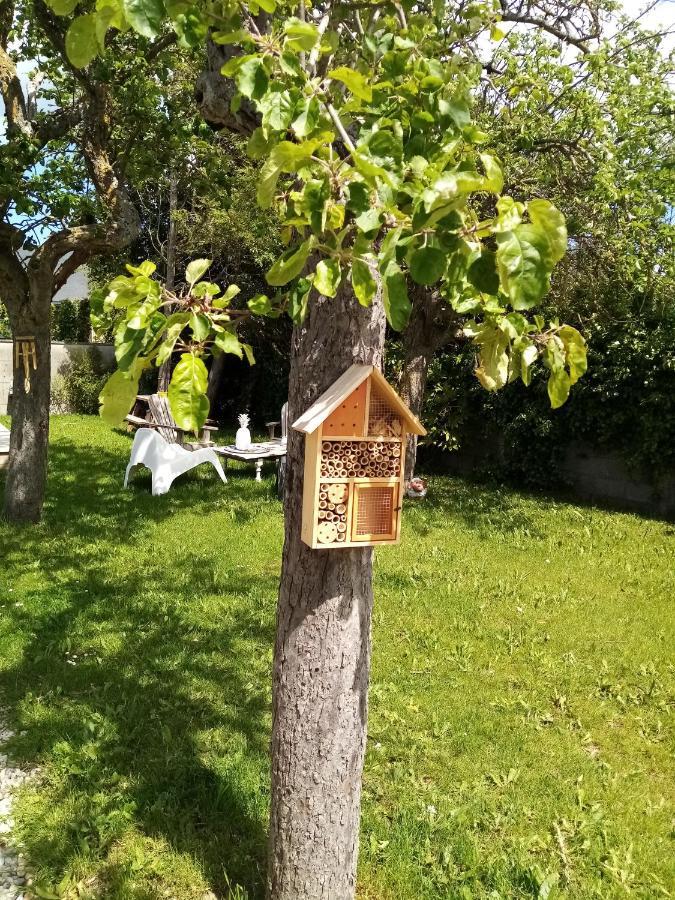 O Douceurs Sucrees Cabourg Bed & Breakfast Eksteriør bilde