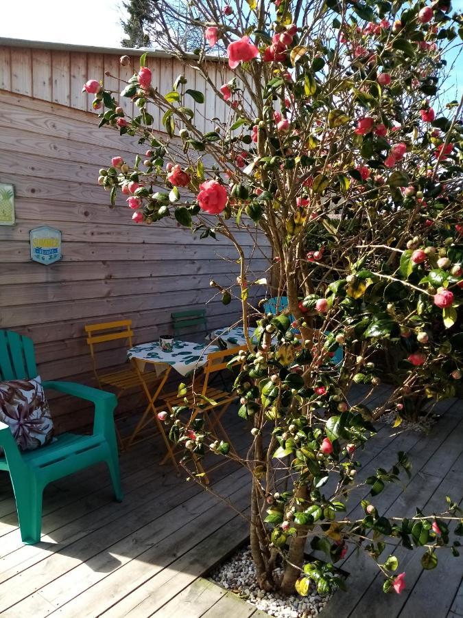 O Douceurs Sucrees Cabourg Bed & Breakfast Eksteriør bilde